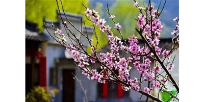陽春三月，臺群精機(jī)一大波展會即將來襲，您準(zhǔn)備好了嗎？
