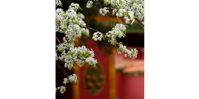 【展會(huì)資訊】臺(tái)群精機(jī)5月展會(huì)一覽，等您來參觀！